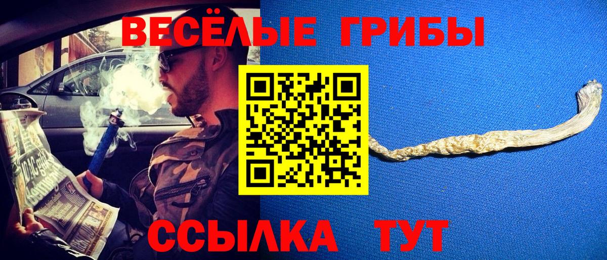 Галлюциногенные грибы мухоморы Печора